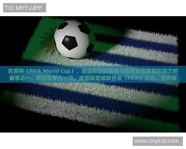 足球世界杯赛事营销及全球影响力分析 足球世界杯赛事营销及全球影响力分析