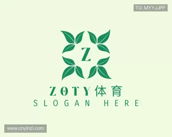 介绍zoty中欧